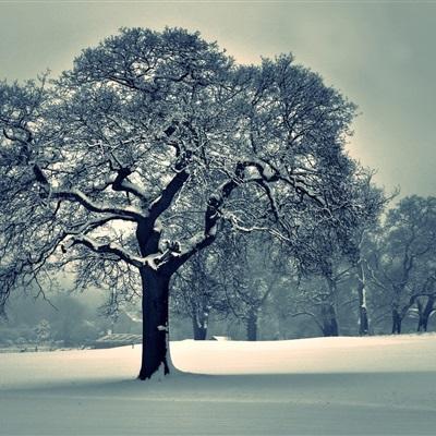博雅.体育app手机版下载截图